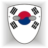 Korea Republic flag face mask