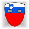 Slovenia flag face mask
