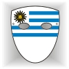 Uruguay flag face mask
